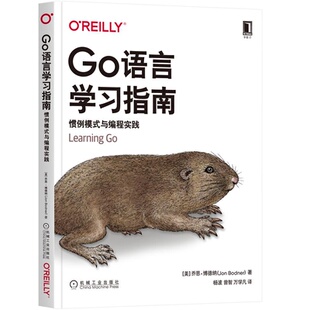 美 乔恩 博德纳 Go语言学习指南 机械工业出版 与编程实践 9787111703839 社 惯例模式