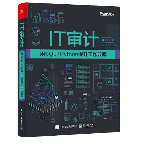 it审计电子工业出版社