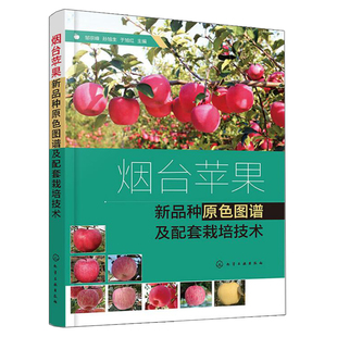 烟台苹果新品种原色图谱及配套栽培技术 邹宗峰 孙旭生 于旭红 主编 化学工业出版社9787122409638