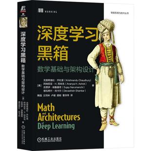 深度学习黑箱 数学基础与架构设计 克里希南杜 乔杜里 机械工业出版社9787111790341