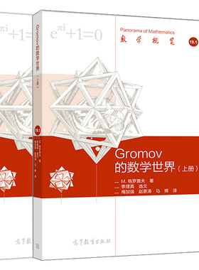 正版 Gromov 的数学世界 上册+下册 2册 M 格罗莫夫 著 季理真 选文 梅加强 Gromov如何用软性整体几何方法破解困难书 高教社书