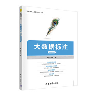 大数据标注（微课视频版） 李颖智 清华大学出版社