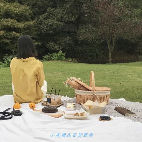 新品Picnic basket ins decoration spring outing suTpplies set