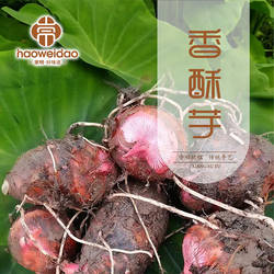 【顺丰包邮】崇明本地香酥芋艿软糯香芋艿3-5斤粉糯香甜新鲜现挖