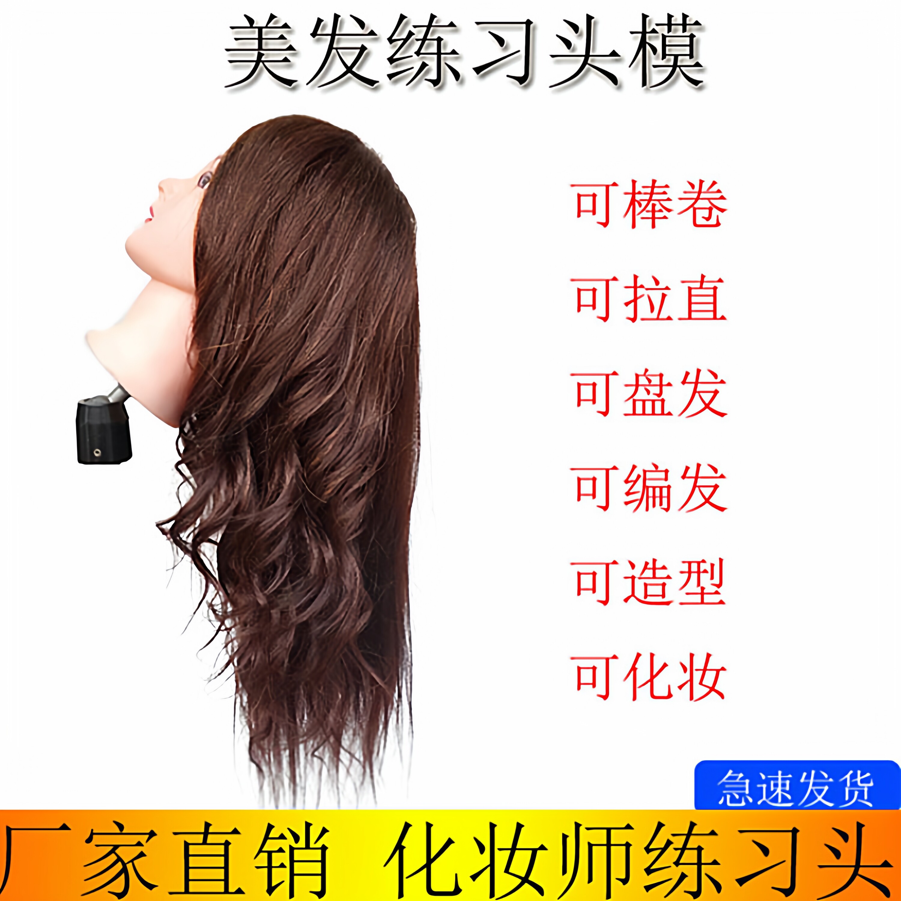 教习头模真发可盘发烫发化妆头模