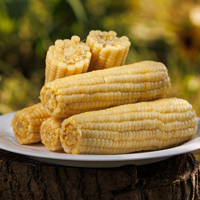 农科糯336非转基因低脂健身代餐