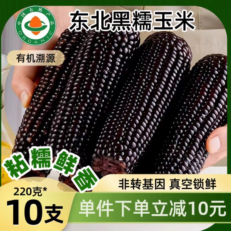 每食安东北有机黑糯玉米10根
