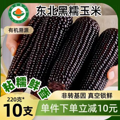 每食安东北有机黑糯玉米10根