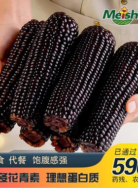 东北黑糯玉米甜糯玉米代餐240克