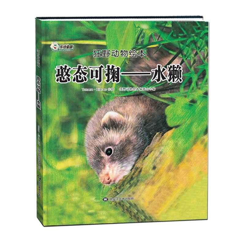 狂野动物绘本：憨态可掬--水獭        （精装绘本）狂野动物绘本编委会绘本/图画书黑龙江美术出版社9787559322821