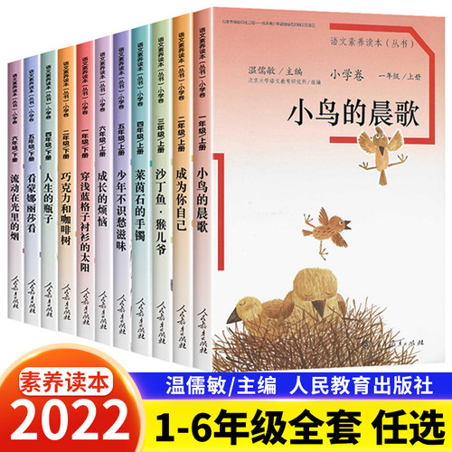 语文素养读本浅蓝格子衬衫太阳