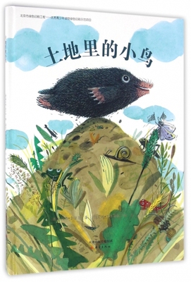 土地里的小鸟（精装绘本）(德)奥利弗·舍尔茨|译者:孔杰|绘画:(德)艾娃·穆根塔勒9787530764169新蕾  小说