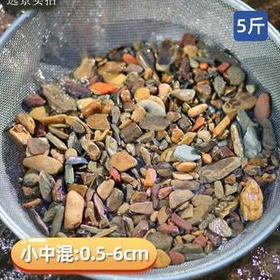 原生缸溪流沙鱼缸造景装饰铺底彩色底砂石乌龟古法缸鳑鲏虾虎河沙