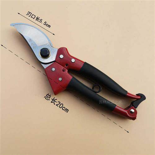 德之助剪枝果树修枝剪刀剪子花剪园艺果树园林花艺修剪树枝剪刀,鲜花速递/花卉仿真/绿植园艺,剪刀,淘宝优惠券,粉丝福利购,淘宝优惠卷