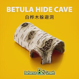 爬宠守宫蛇爬虫蜥蜴白桦木躲避饲养箱躲避屋躲避树洞爬行动物造景