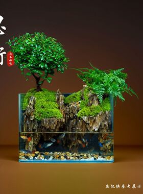 小叶赤楠鱼缸景观成品整
