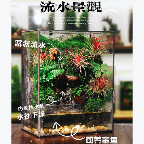 网红懒人流居家水微景观