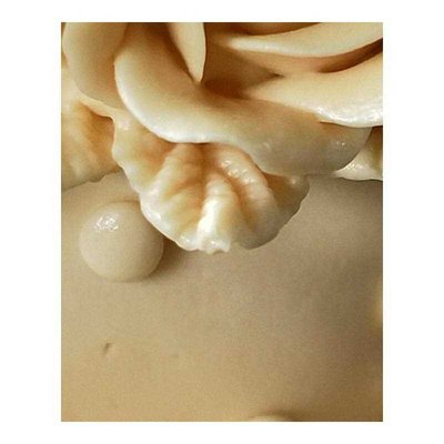 极速HC0120 Flowerm rose cup silicone mold soap mould Flower