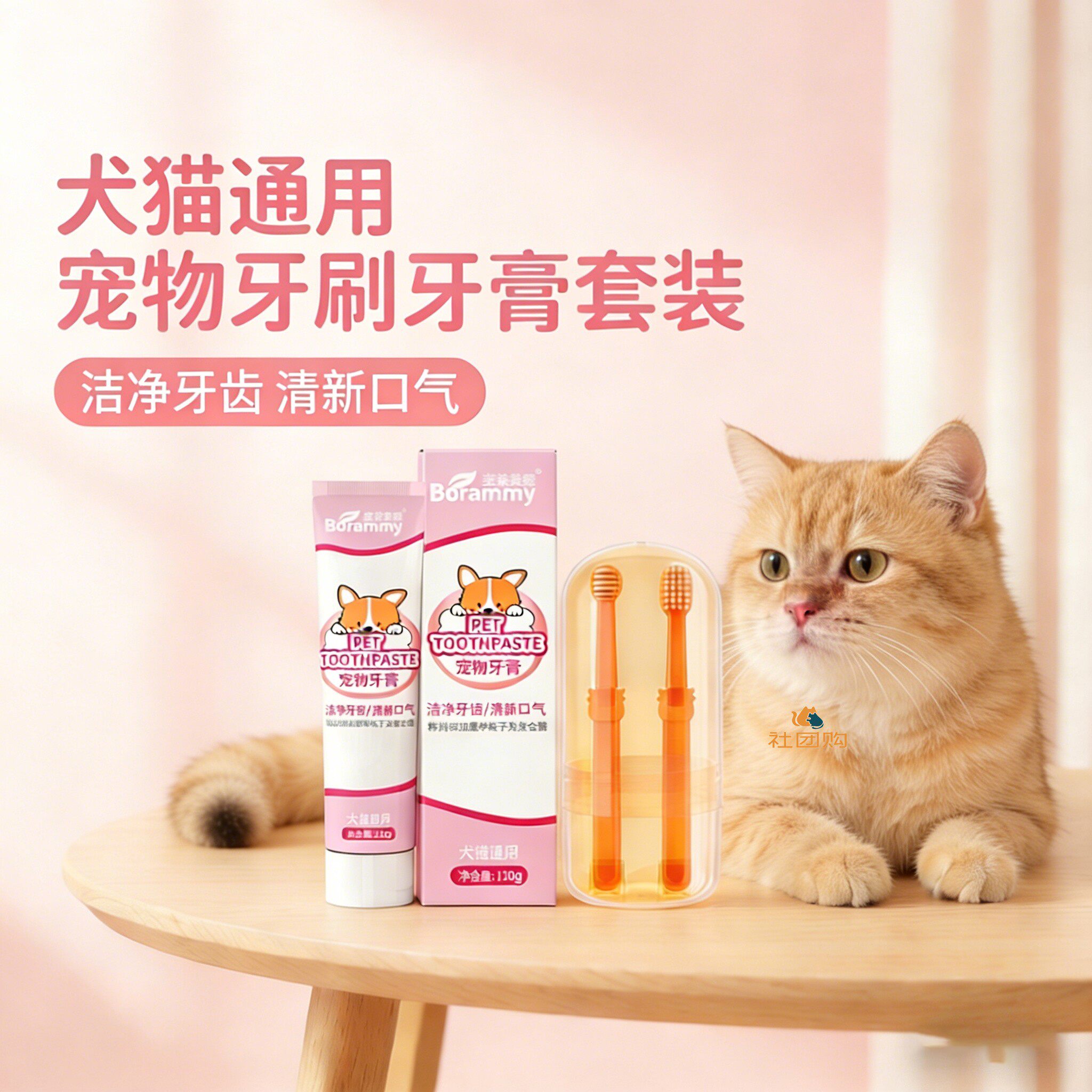 金渐层猫咪专用牙刷牙膏宠物刷牙神器指套工具可食用口腔清洁洁牙