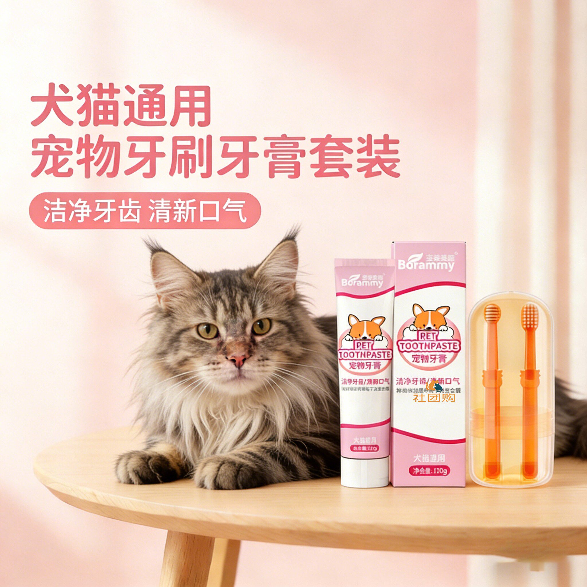 缅因猫咪专用牙刷牙膏宠物刷牙神器洁牙工具指套清洁可食用口腔