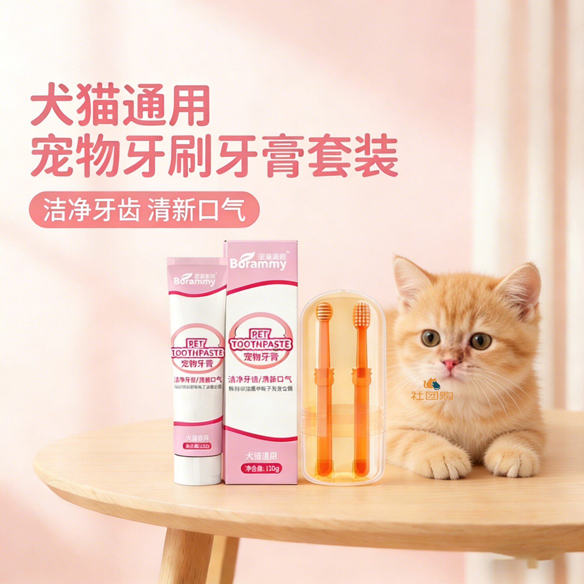 幼猫咪专用牙刷牙膏宠物刷牙神器工具洁牙指套可食用口腔清洁