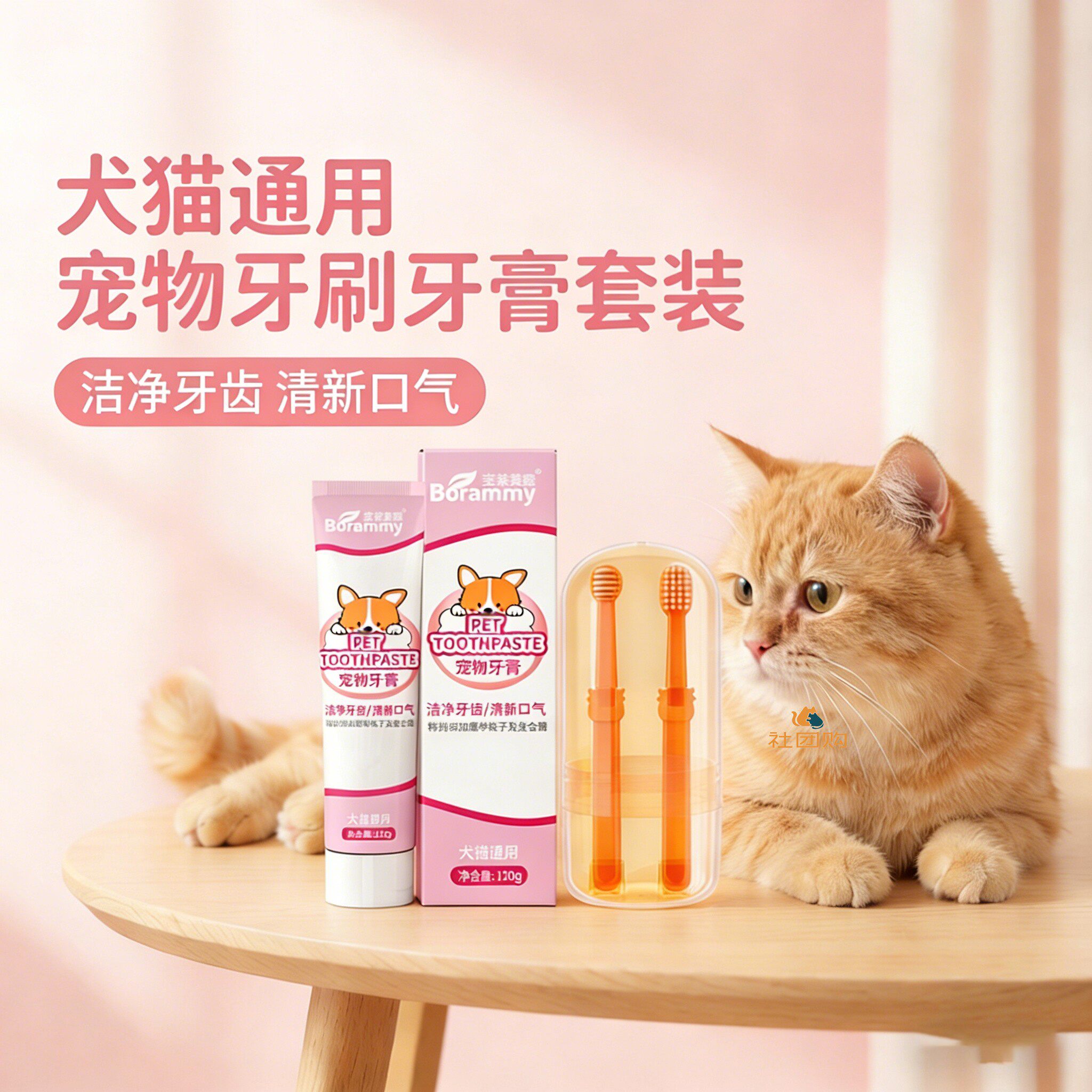 橘猫咪专用牙刷牙膏宠物刷牙神器可食用口腔指套洁牙工具清洁