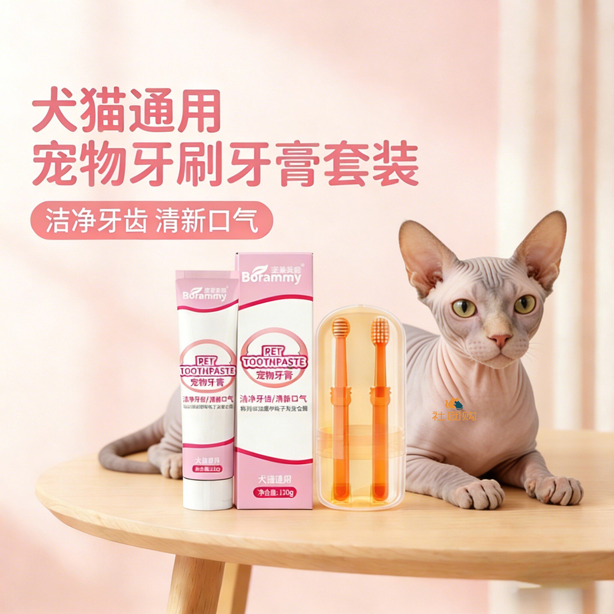 无毛猫咪专用牙刷牙膏宠物刷牙神器清洁可食用洁牙工具口腔指套