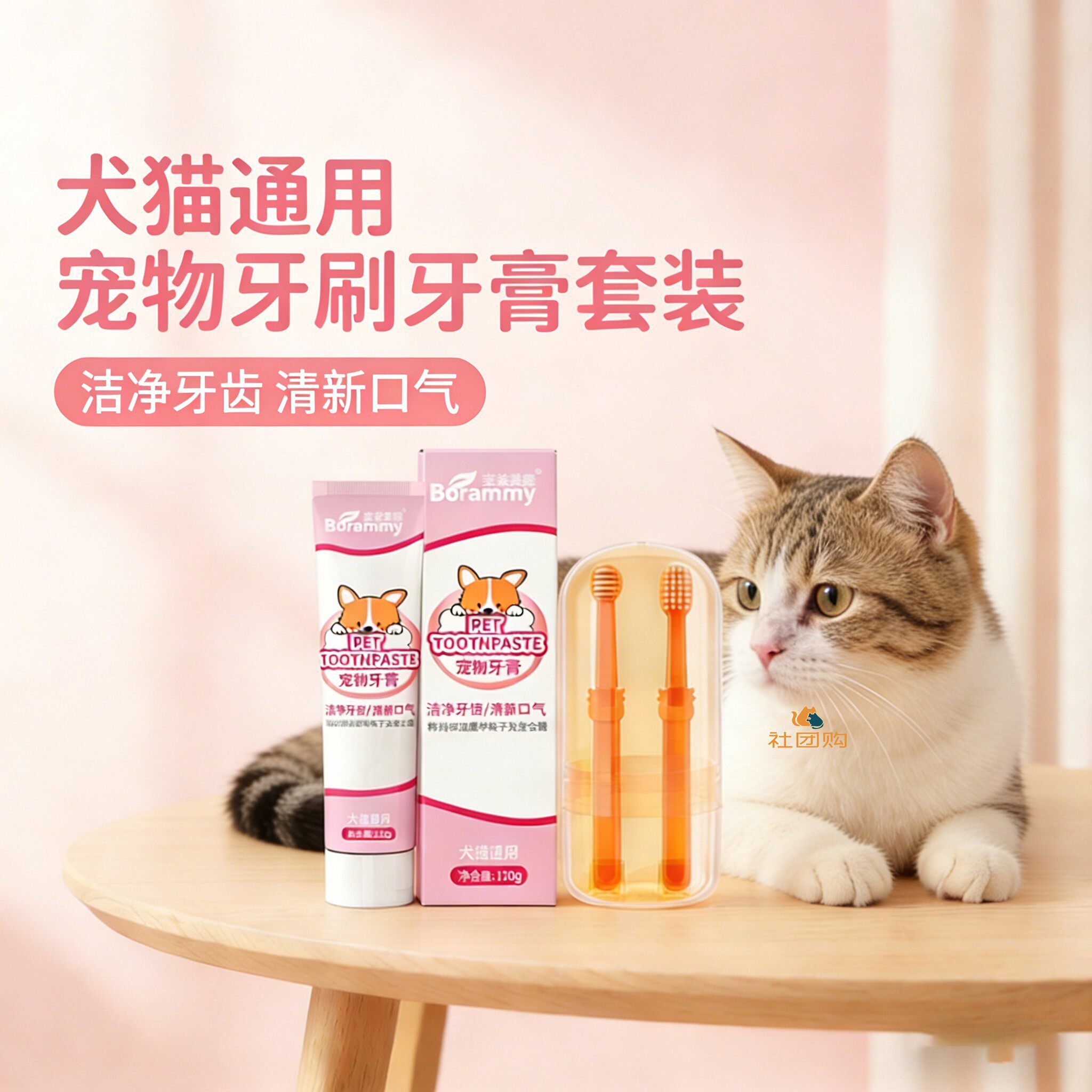 田园猫咪专用牙刷牙膏宠物刷牙神器口腔可食用清洁工具洁牙指套