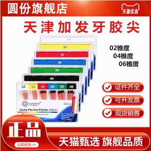 牙科材料 天津加发小 大锥度牙胶尖 02锥度 04锥度 06锥度牙胶尖