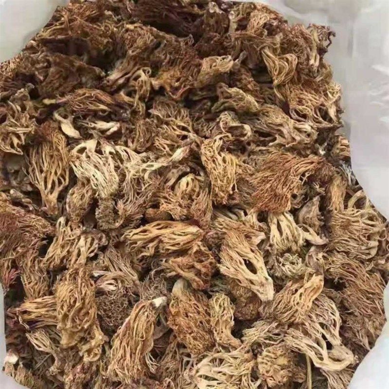 珊瑚菌野生刷把菌云南特t产龙爪菇扫把菌干货鸡爪菌素食扫帚菌袋,传统滋补营养品,其他药食同源食品,淘宝优惠券,粉丝福利购,淘宝优惠卷