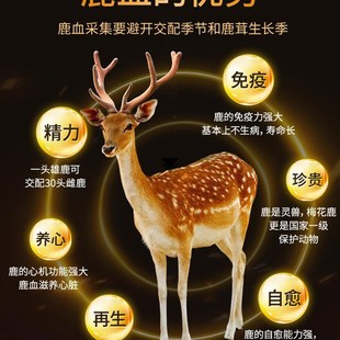 北京同仁堂鹿血片人参鹿v茸片鹿血晶鹿鞭补片可即食官方正品