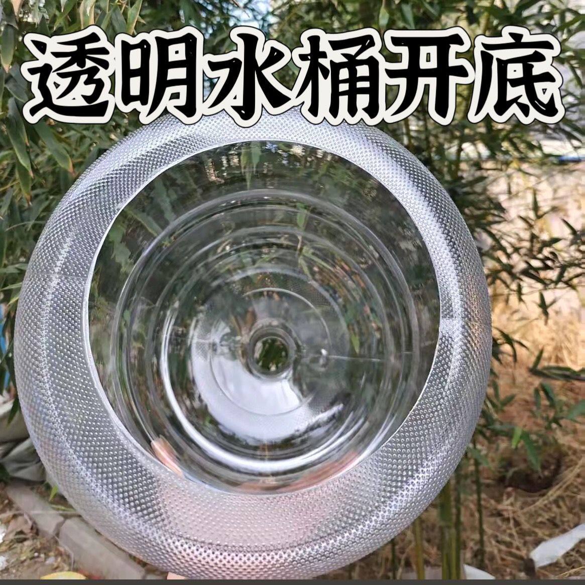 矿泉水桶养鱼生态鱼缸水桶创意改造纯净水桶透明鱼缸制作DIY鱼缸