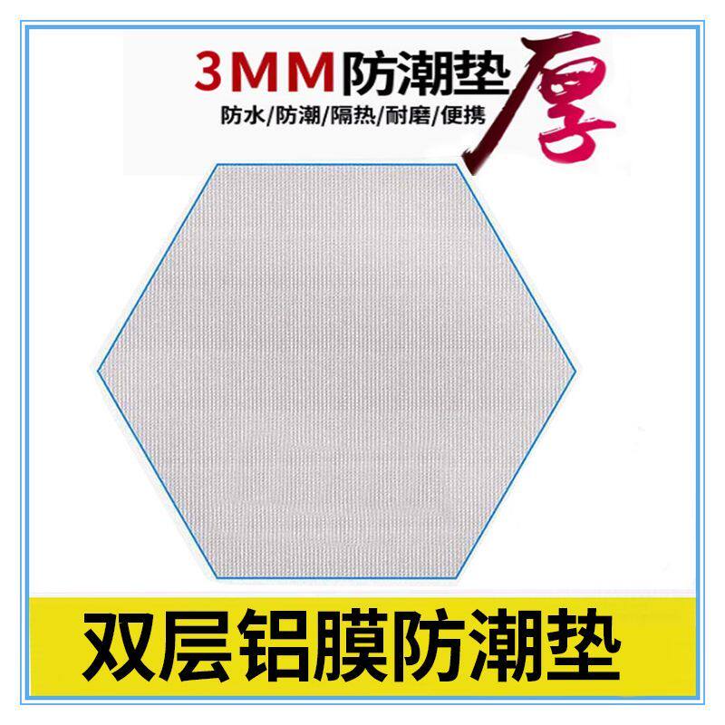 防潮垫加厚户外便携式防水草地野餐家用帐篷铝膜单人宿舍睡垫地垫
