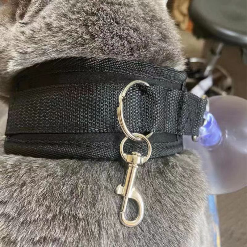 猫猫洗澡神器 猫咪洗澡神器防抓 猫狗防乱动猫咪浴室强力吸盘sm