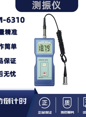 兰泰正品数字测振仪VM6310振动仪测震仪振动分析仪测量仪VM-6310