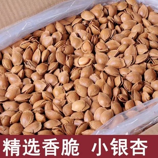 新货小白杏开口杏核杏仁小银杏坚果休闲零食炒货原味散装手剥薄壳
