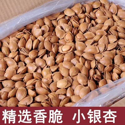 新货小白杏开口杏核杏仁小银杏坚果休闲零食炒货原味散装手剥薄壳