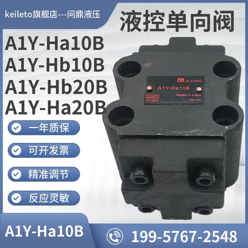 新款液控单向阀A1Y-Ha10B/A1Y-Hb1OB/A1Y-Ha20B/A1Y-Hb20B A1包邮