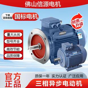 新款广东佛山信源电机厂YE3YE2YE4 卧式立式电动机三相异步马包邮