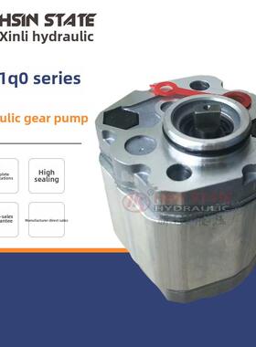 新款Boden齿轮泵BKP1Q0S3.2G0L1-B/S5.8/D8.0/S1.1/D3.2/S4.8包邮