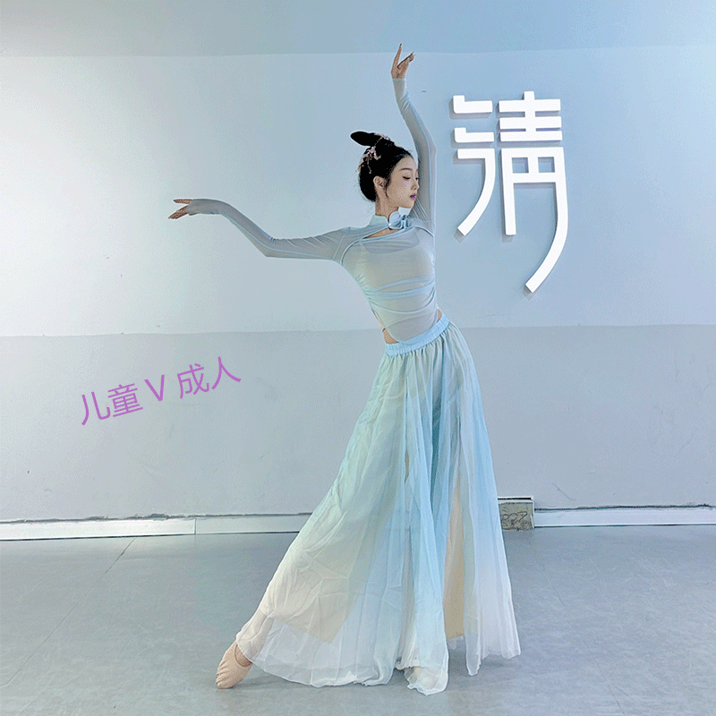古典舞蹈套装仙气飘逸古风纱衣中国练功大摆裙演出服超仙舞蹈服