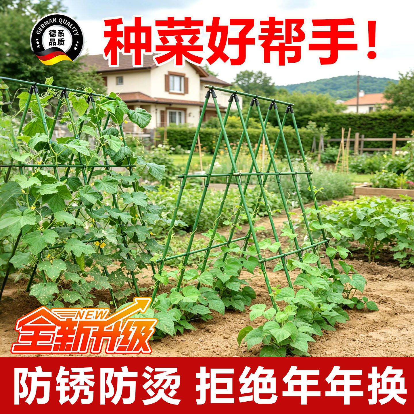 花架爬藤架黄瓜架子葡萄豆角杆庭院家用蔬菜植物种菜户外月季支架图片