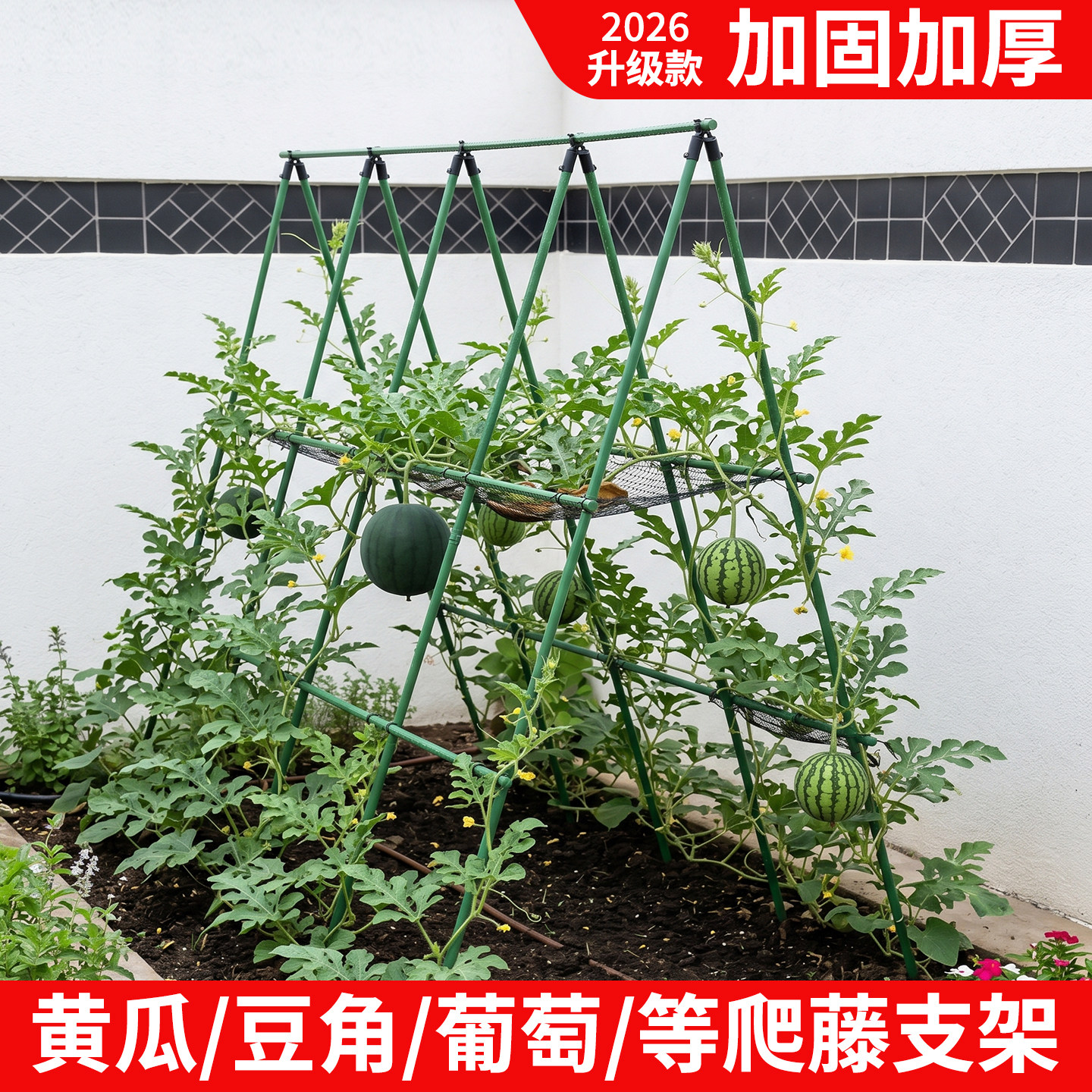 西瓜爬藤架四季豆番茄豆角黄瓜支撑杆植物花架瓜棚搭架子包塑钢管图片