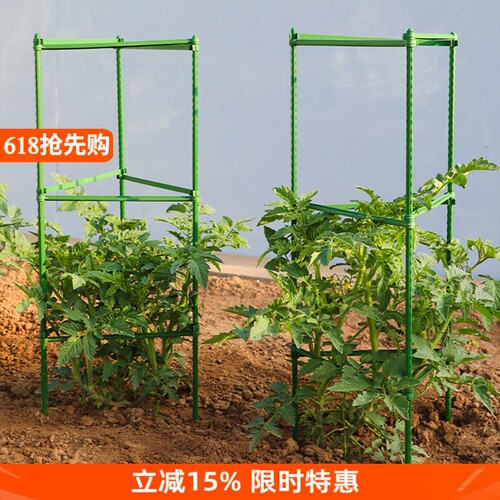 番茄西红柿茄子支撑架架杆