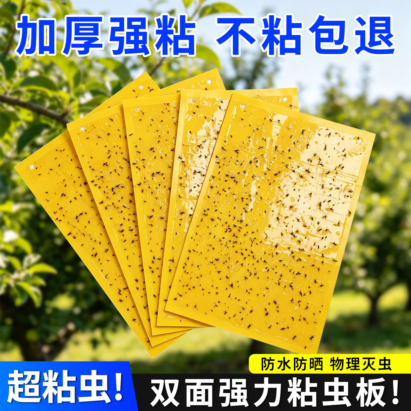 粘虫板黄板双面诱虫强黏粘蝇板灭花盆小黑飞蓝色蓟马大棚沾蚊纸贴