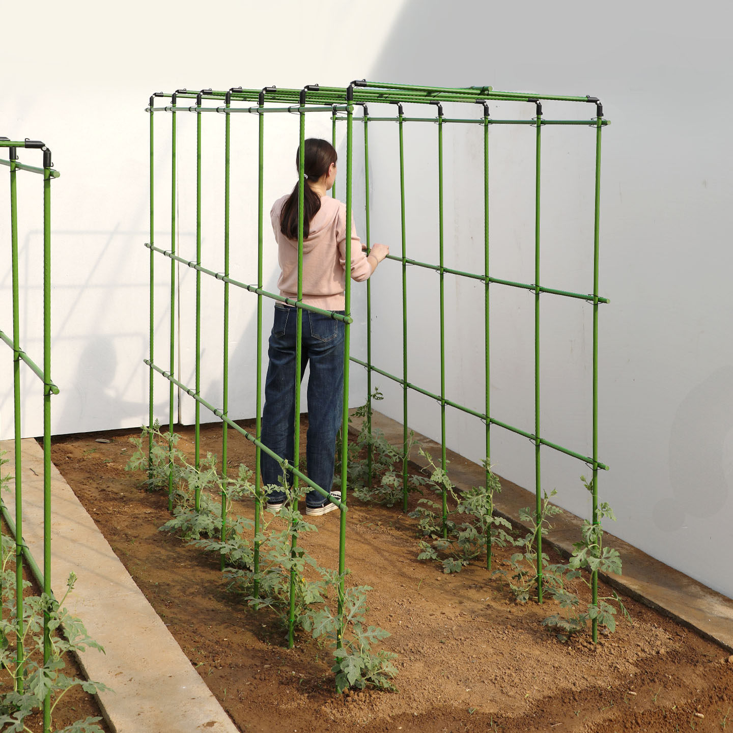 爬藤架西瓜架黄瓜豆角支撑杆子番茄架花卉植物搭棚架专用包塑钢管,鲜花速递/花卉仿真/绿植园艺,花架,淘宝优惠券,粉丝福利购,淘宝优惠卷