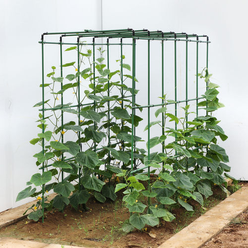 黄瓜爬藤架西瓜架四季豆角番茄架杆园艺瓜果搭棚架子专用包塑钢管
