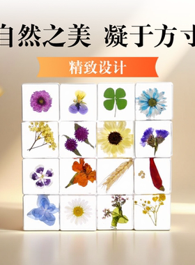 滴胶树脂干花书镇透明琥珀