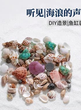 天然贝壳海螺鱼缸造景装饰
