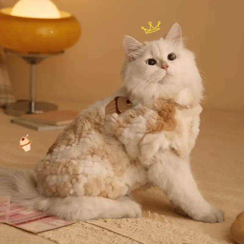猫咪衣服冬季布偶猫冬装幼猫防掉毛宠物小猫冬天保暖加厚猫猫厂家